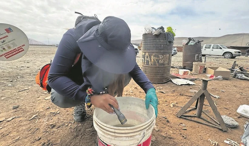 Segundo caso de chikungunya: Salud pide eliminar criaderos de mosquitos en Arica 
